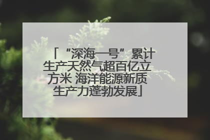 “深海一号”累计生产天然气超百亿立方米 海洋能源新质生产力蓬勃发展