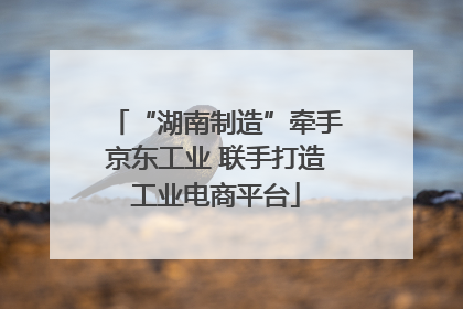 “湖南制造”牵手京东工业 联手打造工业电商平台