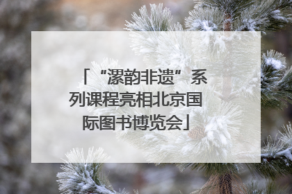 “漯韵非遗”系列课程亮相北京国际图书博览会