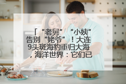 “老舅”“小姨”告别“姥爷”！大连9头斑海豹重归大海，海洋世界：它们已具备野外生存能力