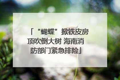“蝴蝶”掀铁皮房顶吹倒大树 海南消防部门紧急排险