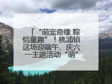 “萌宠奇缘 粽情童趣”！桃浦镇这场迎端午、庆六一主题活动“萌”翻全场～
