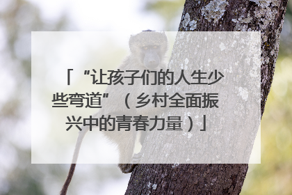“让孩子们的人生少些弯道”（乡村全面振兴中的青春力量）
