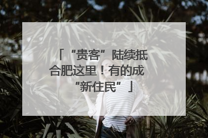 “贵客”陆续抵合肥这里！有的成“新住民”