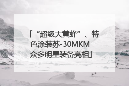 “超级大黄蜂”、特色涂装苏-30MKM 众多明星装备亮相