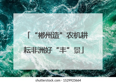 “郴州造”农机耕耘非洲好“丰”景