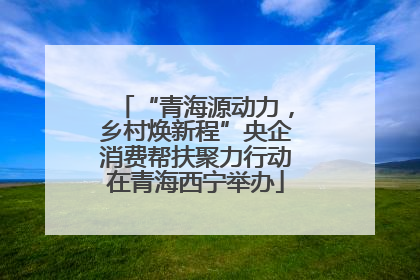 “青海源动力，乡村焕新程”央企消费帮扶聚力行动在青海西宁举办
