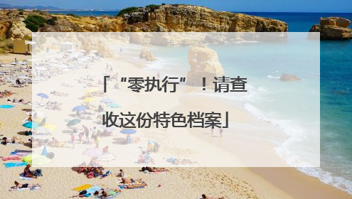 “零执行”！请查收这份特色档案