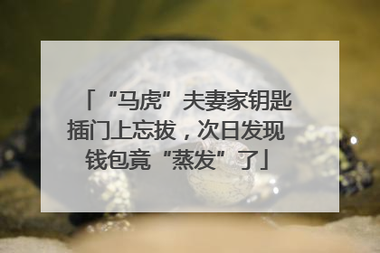 “马虎”夫妻家钥匙插门上忘拔，次日发现钱包竟“蒸发”了