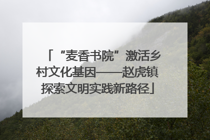 “麦香书院”激活乡村文化基因——赵虎镇探索文明实践新路径