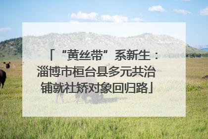 “黄丝带”系新生：淄博市桓台县多元共治铺就社矫对象回归路