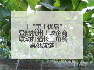 “黑土优品” 登陆杭州！政企商联动打通长三角餐桌供应链