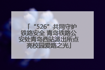 “526”共同守护铁路安全 青岛铁路公安处青岛西站派出所点亮校园爱路之光