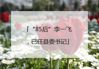 “85后”李一飞，已任县委书记