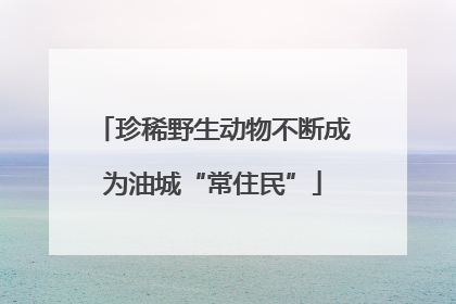 珍稀野生动物不断成为油城“常住民”