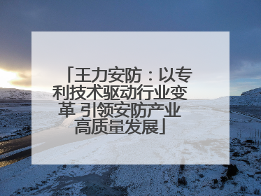 王力安防：以专利技术驱动行业变革 引领安防产业高质量发展
