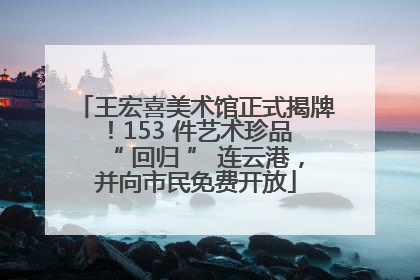 王宏喜美术馆正式揭牌！153 件艺术珍品 “ 回归 ” 连云港，并向市民免费开放