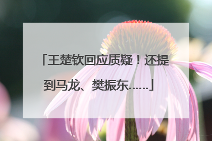 王楚钦回应质疑！还提到马龙、樊振东……