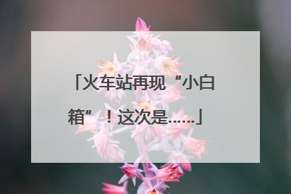 火车站再现“小白箱”！这次是……