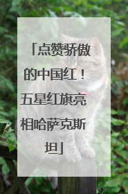 点赞骄傲的中国红！五星红旗亮相哈萨克斯坦