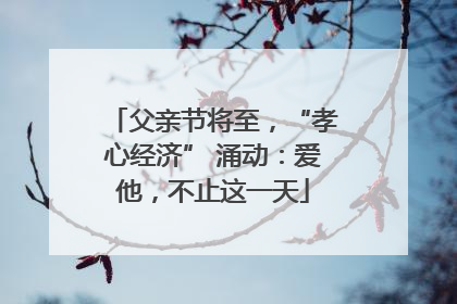 父亲节将至，“孝心经济” 涌动：爱他，不止这一天