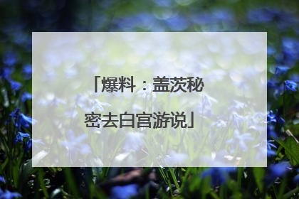 爆料：盖茨秘密去白宫游说