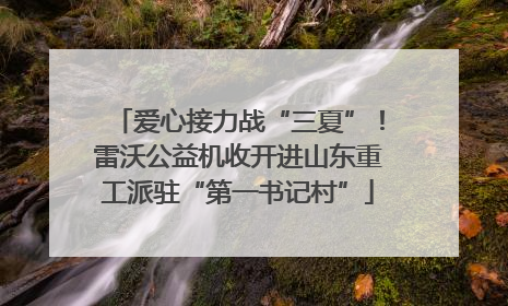 爱心接力战“三夏”！雷沃公益机收开进山东重工派驻“第一书记村”