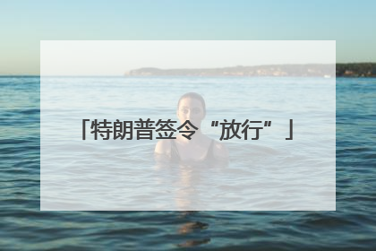 特朗普签令“放行”