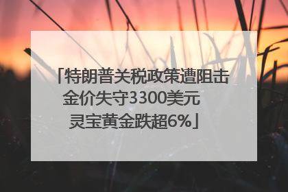 特朗普关税政策遭阻击金价失守3300美元 灵宝黄金跌超6%