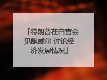 特朗普在白宫会见鲍威尔 讨论经济发展情况
