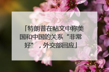 特朗普在帖文中称美国和中国的关系“非常好”，外交部回应