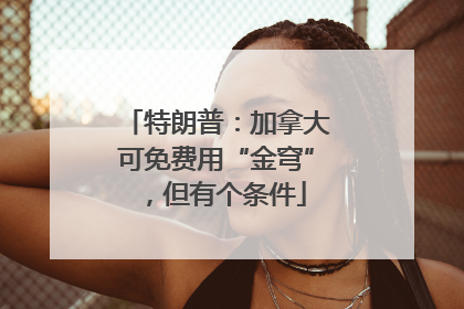 特朗普：加拿大可免费用“金穹”，但有个条件