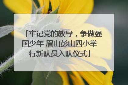 牢记党的教导，争做强国少年 眉山彭山四小举行新队员入队仪式