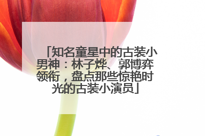 知名童星中的古装小男神：林子烨、郭博弈领衔，盘点那些惊艳时光的古装小演员