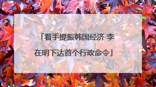 着手提振韩国经济 李在明下达首个行政命令