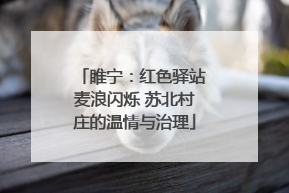 睢宁：红色驿站麦浪闪烁 苏北村庄的温情与治理