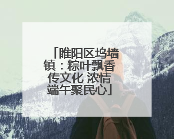 睢阳区坞墙镇：粽叶飘香传文化 浓情端午聚民心