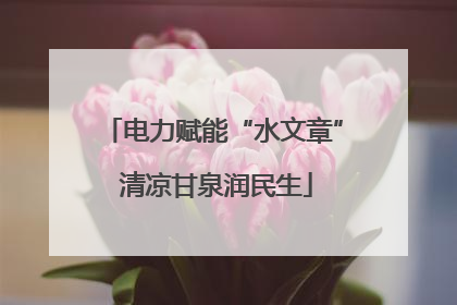 电力赋能“水文章” 清凉甘泉润民生