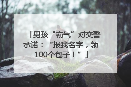 男孩“霸气”对交警承诺：“报我名字，领100个包子！”
