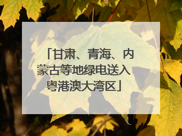 甘肃、青海、内蒙古等地绿电送入粤港澳大湾区