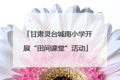 甘肃灵台城南小学开展“田间课堂”活动