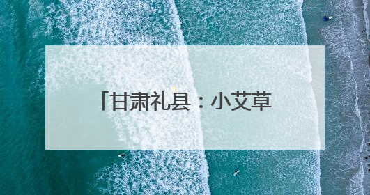 甘肃礼县：小艾草“链”上大产业