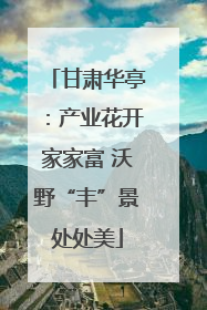 甘肃华亭：产业花开家家富 沃野“丰”景处处美