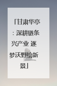 甘肃华亭：深耕链条兴产业 逐梦沃野绘新景