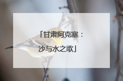 甘肃阿克塞：沙与水之歌