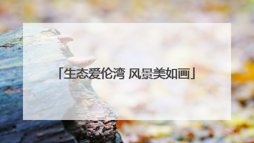 生态爱伦湾 风景美如画