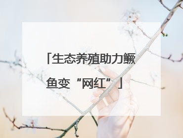 生态养殖助力鳜鱼变“网红”