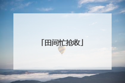 田间忙抢收