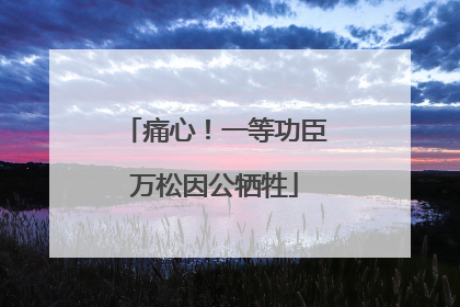 痛心！一等功臣万松因公牺牲