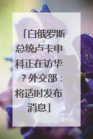 白俄罗斯总统卢卡申科正在访华？外交部：将适时发布消息